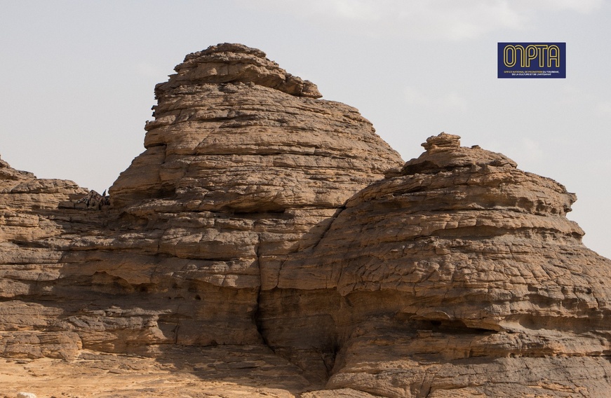 Images et Info: ONPTA