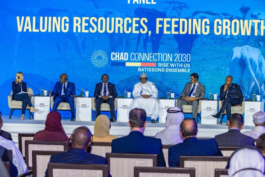 Tchad : lancement du premier projet opérationnel, trois jours après la Table ronde de Doha Tchad : lancement du premier projet opérationnel, trois jours après la Table ronde de Doha