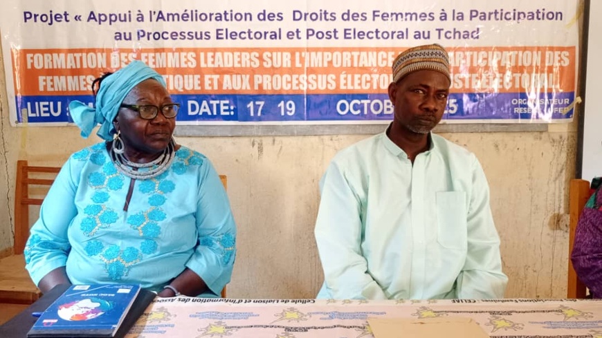 Tchad : au Guéra, formation de 30 femmes des partis politiques à Mongo
