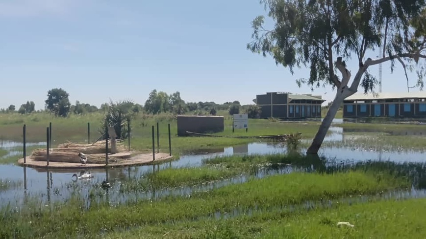 Tchad : à Kinasserom, quand l’eau menace l’éducation d’une génération