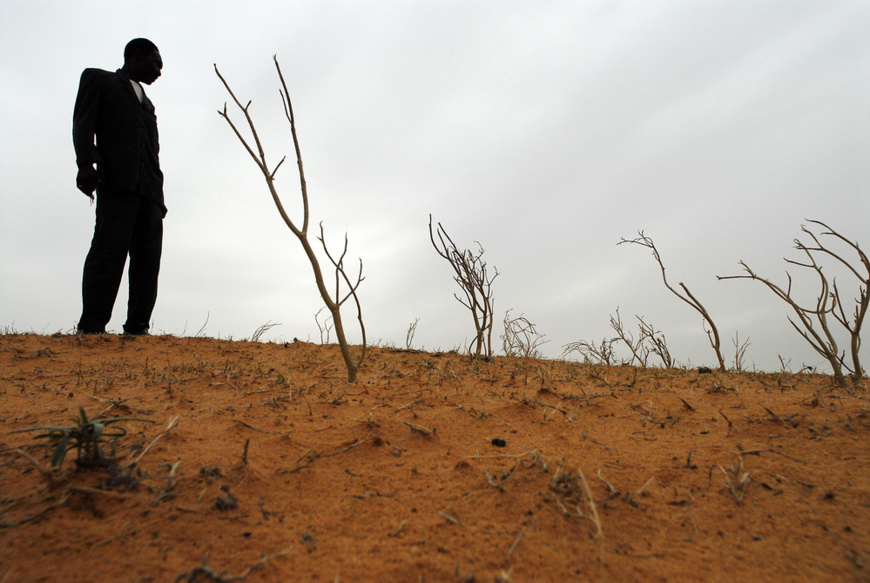 ©IFAD/David Rose