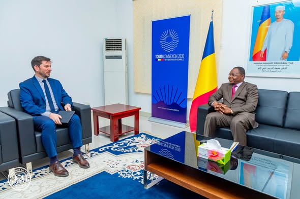 Tchad : Le Chef de Mission du FMI reçu en audience par le Premier Ministre