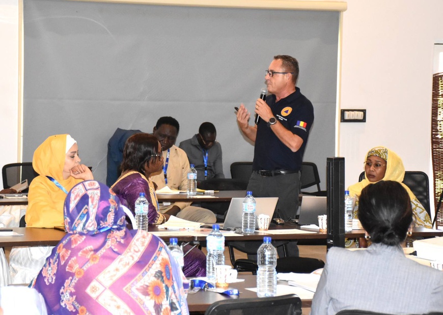 Protection civile : la France et le Tchad coopèrent activement