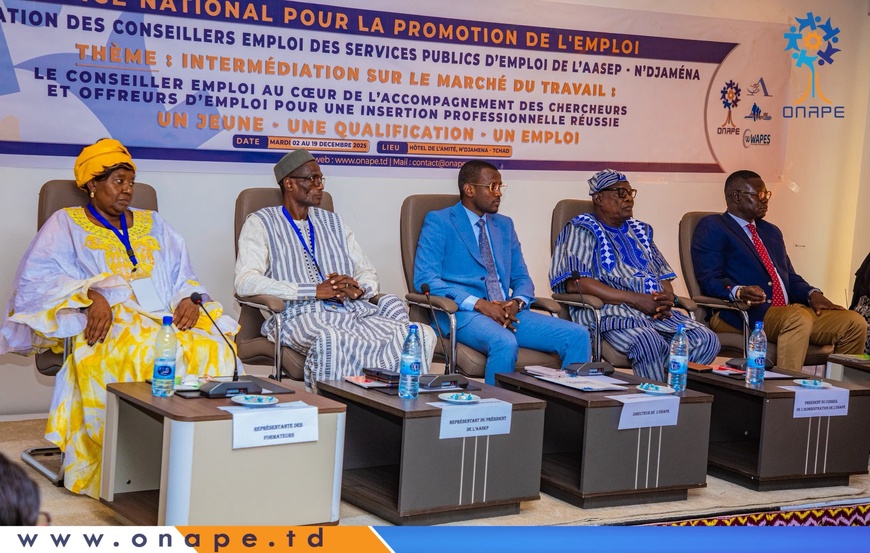 Tchad : session de formation des conseillers emploi des SPE membres de l’AASEP