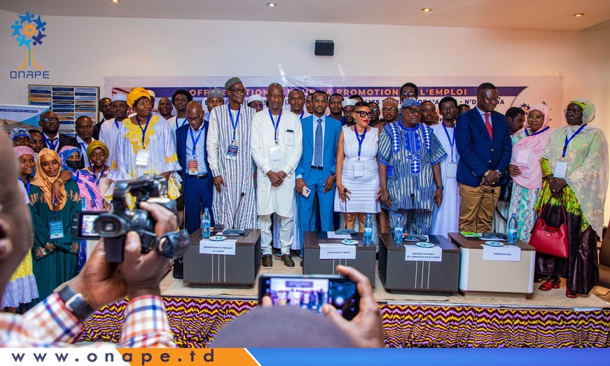 Tchad : session de formation des conseillers emploi des SPE membres de l’AASEP Tchad : session de formation des conseillers emploi des SPE membres de l’AASEP