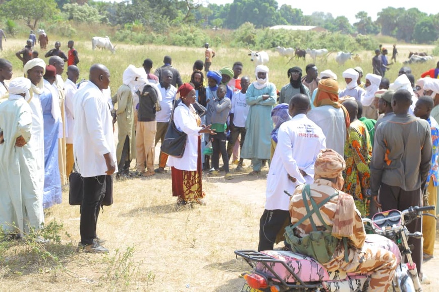 Tchad : Le Mandoul sensibilisé à la vaccination obligatoire du bétail