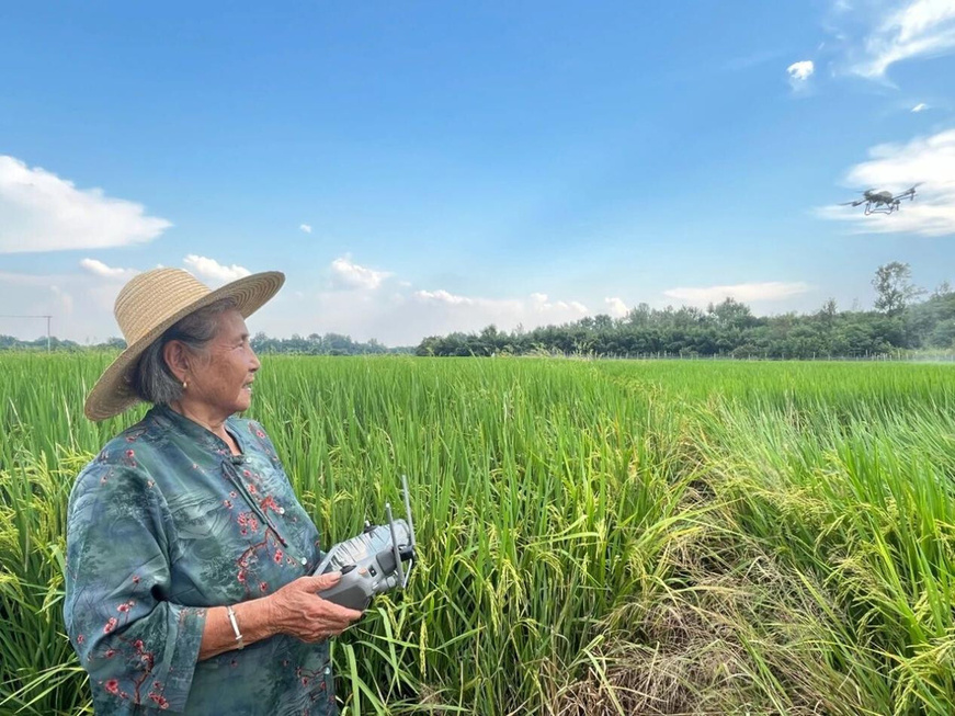 Dai Shuxing operates an agricultural drone in the field. (Photo from Anqing Evening News)
