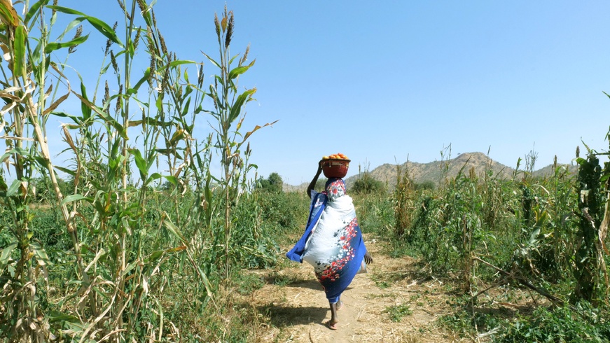 Tchad : Bilan positif pour le projet de résilience soutenu par la Corée Tchad : Bilan positif pour le projet de résilience soutenu par la Corée