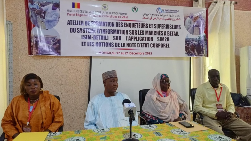 Tchad : au Guéra, atelier de formation des enquêteurs et superviseurs sur l’application SIM2G Tchad : au Guéra, atelier de formation des enquêteurs et superviseurs sur l’application SIM2G
