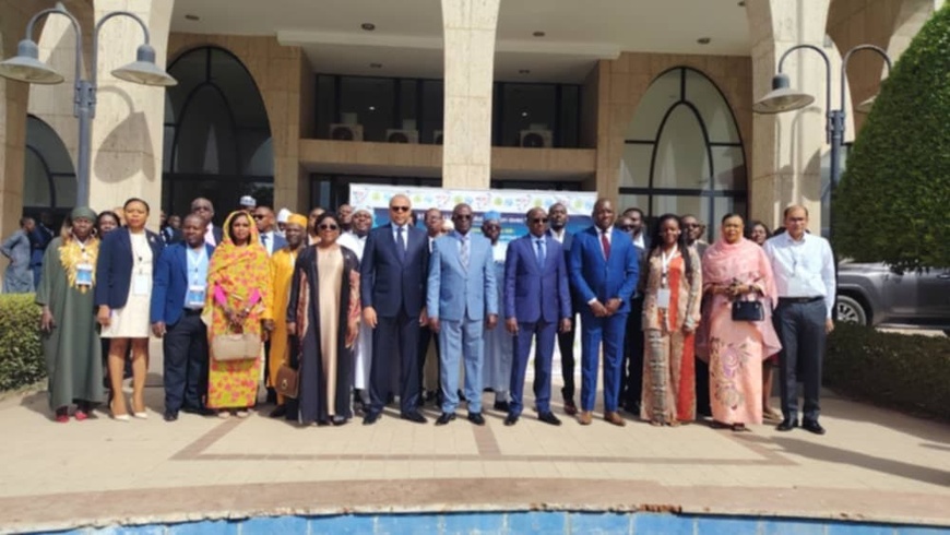 Tchad : ouverture de l'atelier sous-régional sur la cartographie des infrastructures de fibre optique