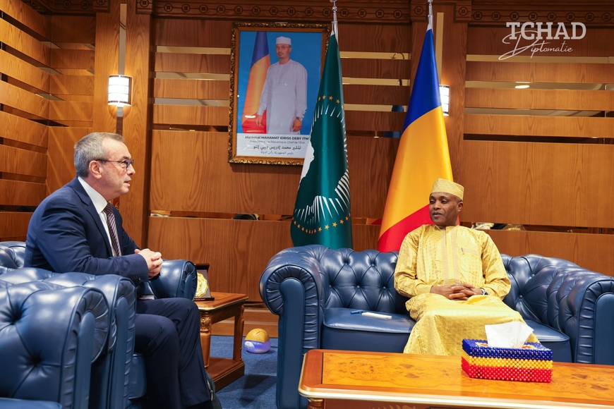 Tchad : l'ambassadeur de France reçu par le ministre des Affaires étrangères