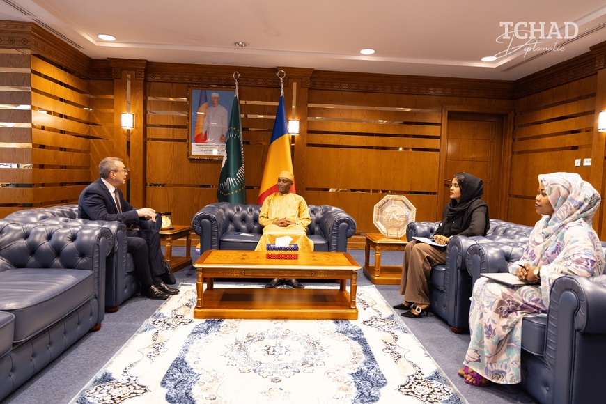 Tchad : l'ambassadeur de France reçu par le ministre des Affaires étrangères Tchad : l'ambassadeur de France reçu par le ministre des Affaires étrangères