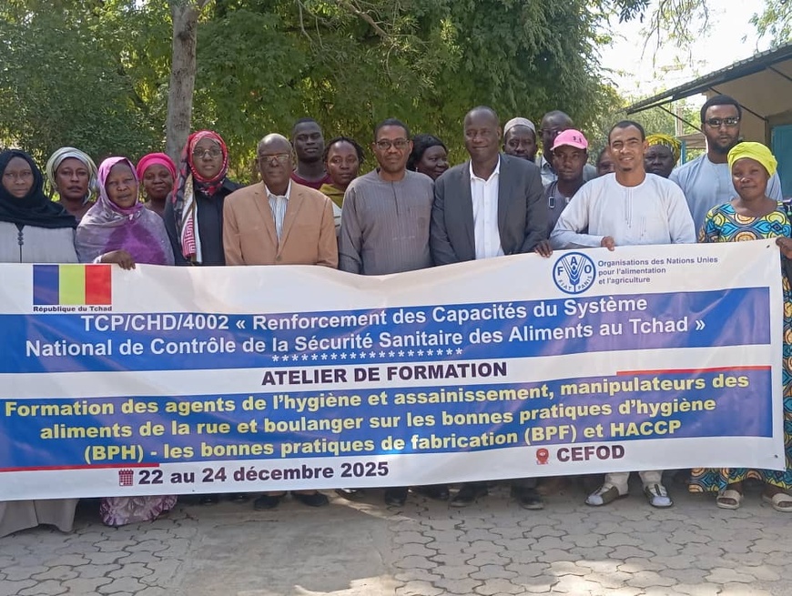 Sécurité sanitaire des aliments au Tchad : la FAO et le ministère de la Santé renforcent les capacités nationales Sécurité sanitaire des aliments au Tchad : la FAO et le ministère de la Santé renforcent les capacités nationales