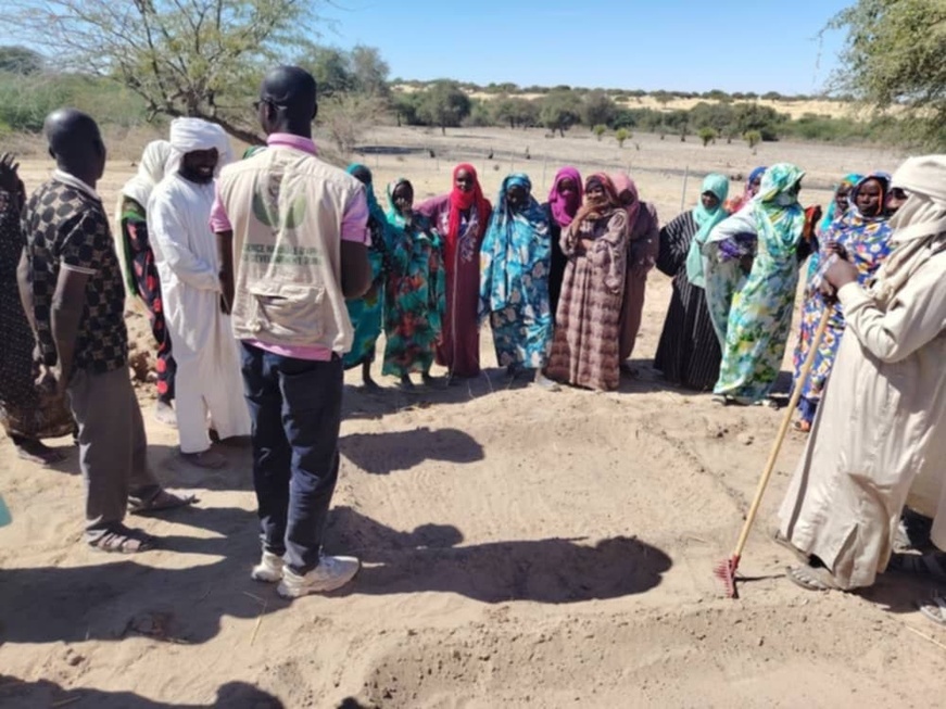 Tchad : le P2RS 2 et l’Antenne ANADER du Kanem forment les producteurs du Kanem-Sud Tchad : le P2RS 2 et l’Antenne ANADER du Kanem forment les producteurs du Kanem-Sud