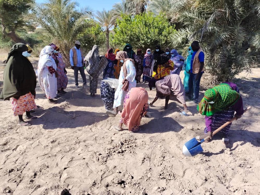 Kanem : Vers une autonomie maraîchère durable avec le P2-P2RS et l'ANADER Kanem : Vers une autonomie maraîchère durable avec le P2-P2RS et l'ANADER