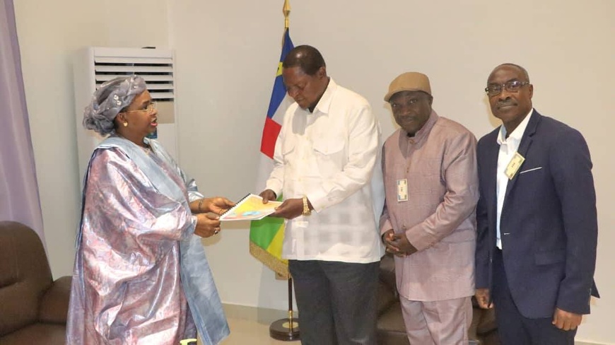 RCA : la mission conjointe d'observation électorale de la diaspora africaine en Europe remet son rapport RCA : la mission conjointe d'observation électorale de la diaspora africaine en Europe remet son rapport