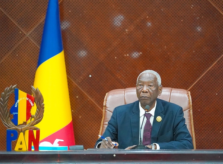 Tchad : l’Assemblée nationale adopte le projet de loi d’habilitation du gouvernement Tchad : l’Assemblée nationale adopte le projet de loi d’habilitation du gouvernement