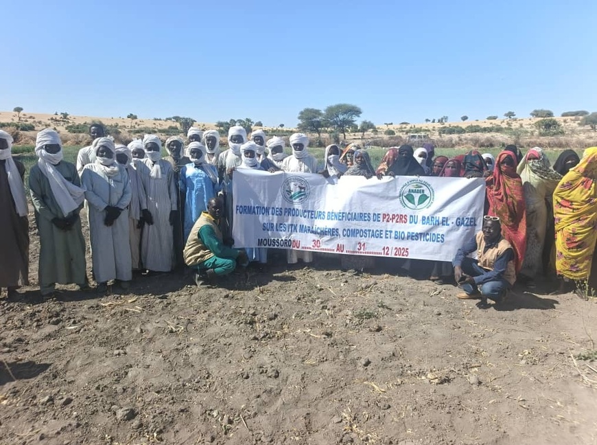 Tchad : renforcement des capacités des producteurs à Moussoro Tchad : renforcement des capacités des producteurs à Moussoro