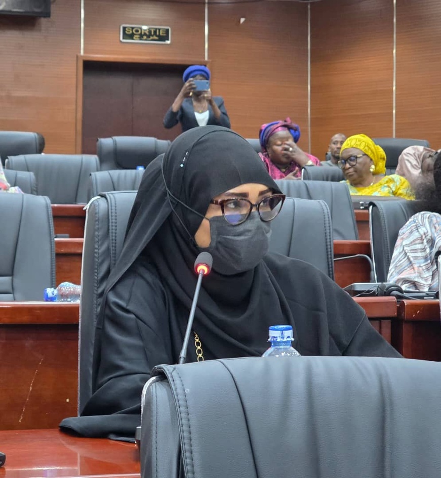 Énergie au Tchad : les sénateurs interpellent le gouvernement sur les coupures d’électricité