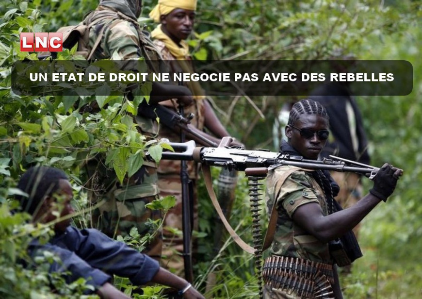 ANALYSE/Centrafrique : Négocier avec les bandes rebelles n'est pas une option ANALYSE/Centrafrique : Négocier avec les bandes rebelles n'est pas une option