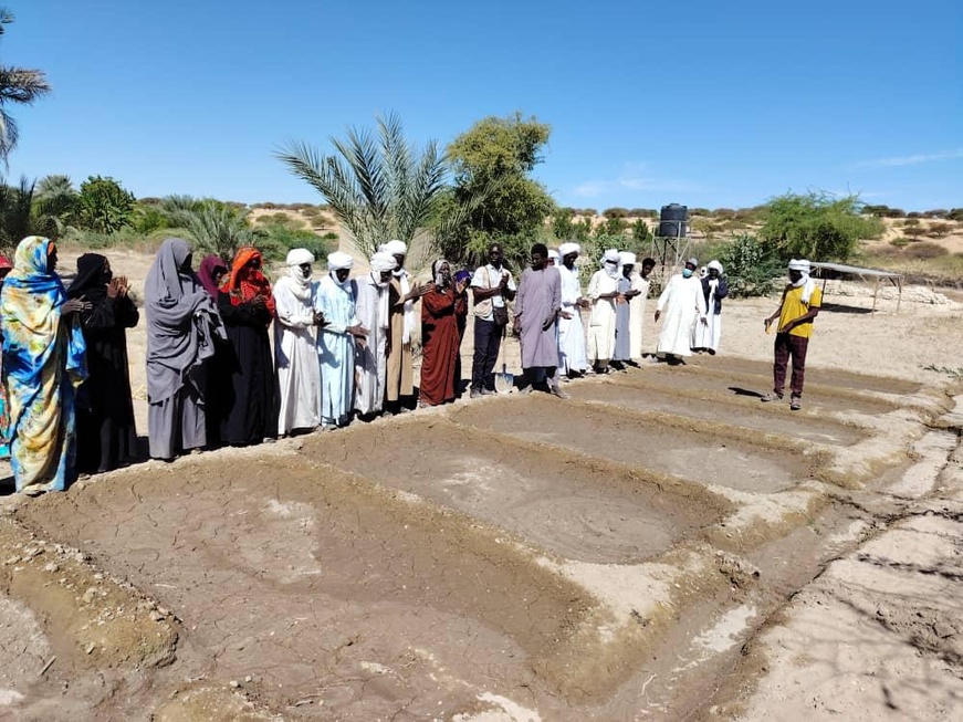Tchad : partenariat ANADER–P2-P2RS, poursuite des activités avec une visite d’échange à Mao Tchad : partenariat ANADER–P2-P2RS, poursuite des activités avec une visite d’échange à Mao