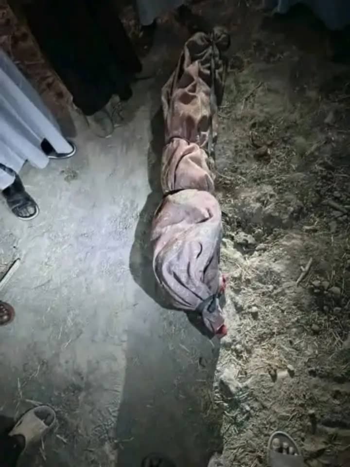 Tchad : au Hadjer Lamis, un adolescent tué par des éléphants à Tourba