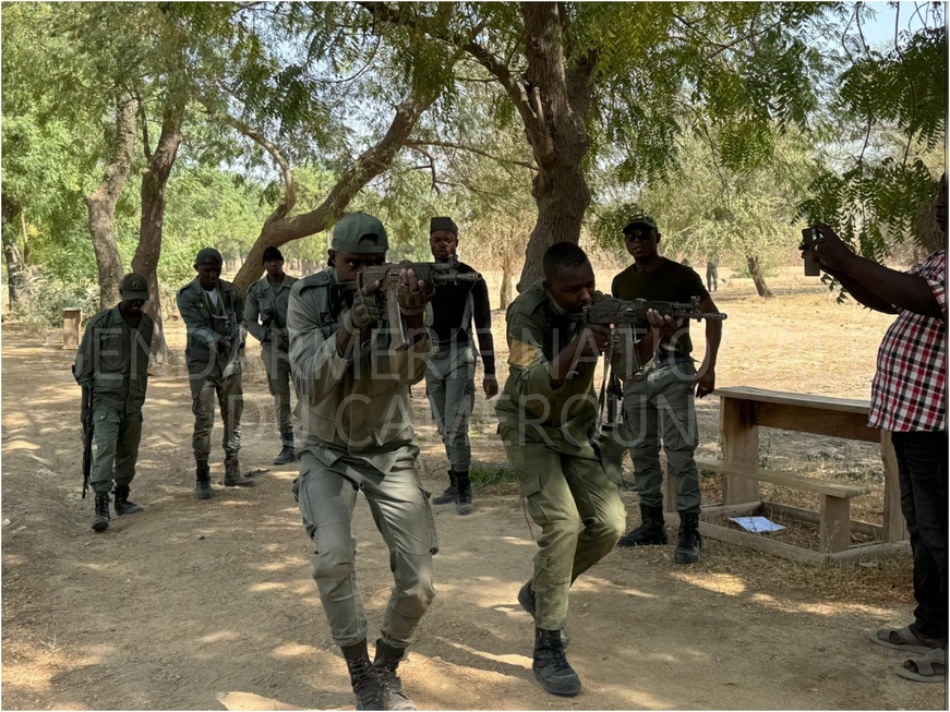 Cameroun - Sécurité : Montée en puissance de la Gendarmerie dans le Logone-et-Chari Cameroun - Sécurité : Montée en puissance de la Gendarmerie dans le Logone-et-Chari