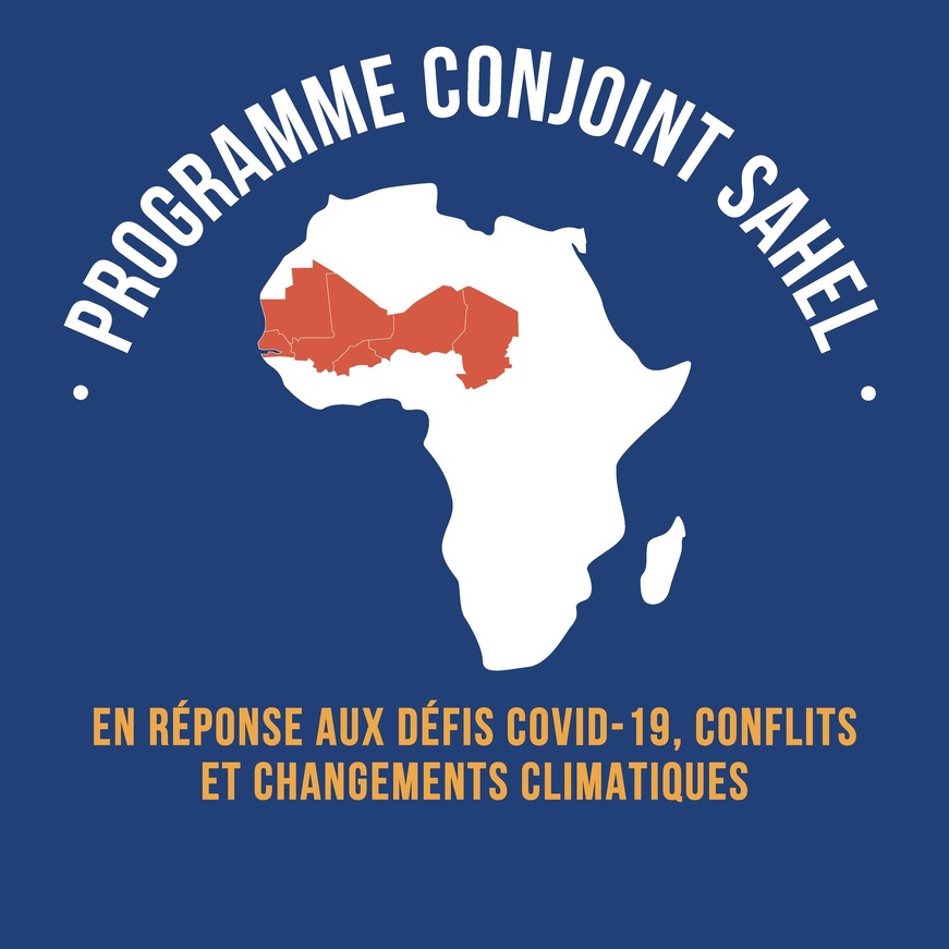 Tchad : Avis d'appel à candidatures dans le cadre du Programme SD3C (3 postes à pourvoir) Tchad : Avis d'appel à candidatures dans le cadre du Programme SD3C (3 postes à pourvoir)