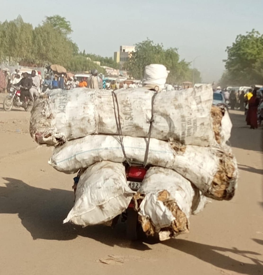 Tchad : transport, le poisson fumé exposé à la poussière et aux mouches