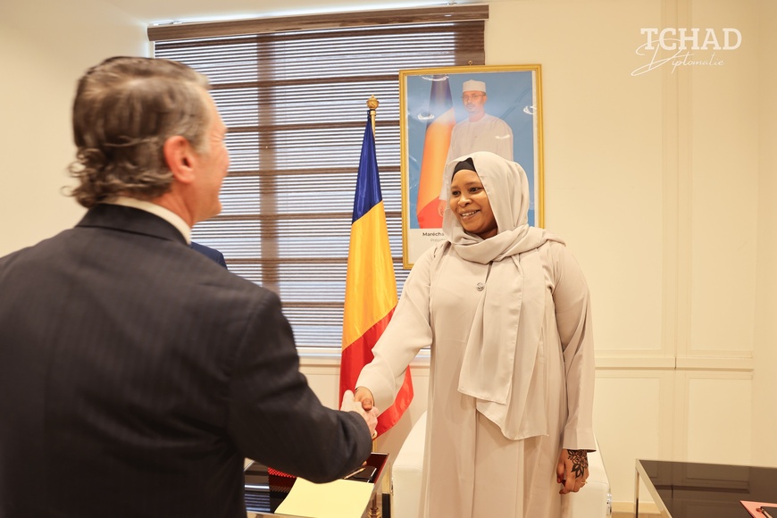 Tchad/Etats-Unis : l’éradication du terrorisme, au cœur des discussions Tchad/Etats-Unis : l’éradication du terrorisme, au cœur des discussions