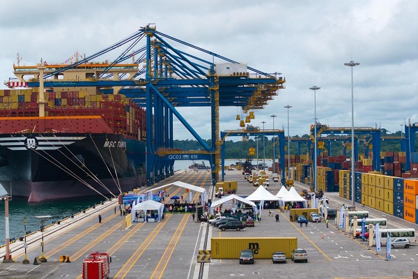 Ports de Douala et Kribi : en 2025, le Tchad détenait 77 % du marché des graines