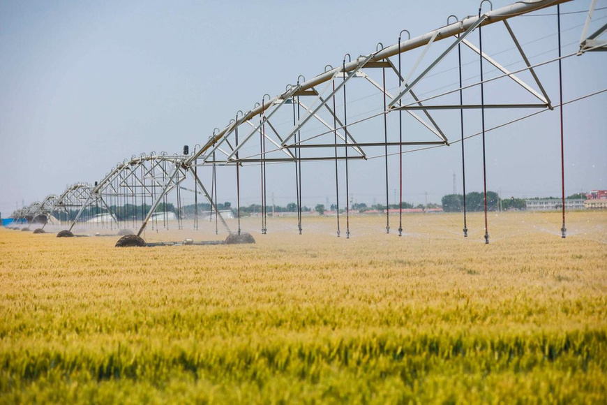 In a high-standard farmland in Lique township, Dongying, east China's Shandong province, a truss-type sprinkler irrigation system is watering wheat. (Photo/Liu Yunjie)