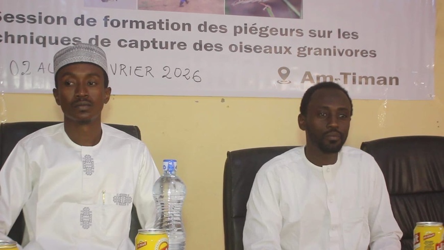 Tchad : 30 agriculteurs formés pour protéger le berbéré Tchad : 30 agriculteurs formés pour protéger le berbéré