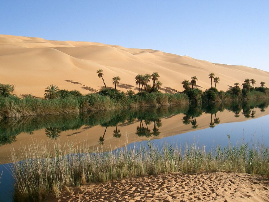 Oasis in Libya. Crédit photo : Sources