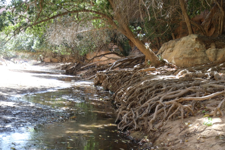 Tchad : un touriste toujours porté disparu après une excursion Tchad : un touriste toujours porté disparu après une excursion