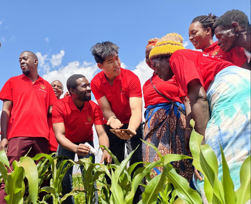 A Chinese expert of a Science and Technology Backyard in Malawi discusses corn maize yield-improvement techniques with local students. (Photo provided by China Agricultural University)
