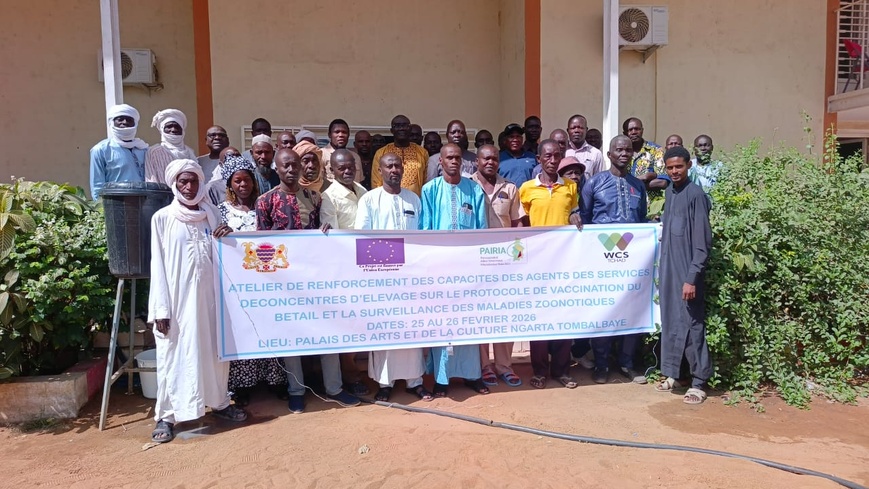 Tchad : les agents de l'élevage du Moyen Chari en formation pour mieux protéger le cheptel Tchad : les agents de l'élevage du Moyen Chari en formation pour mieux protéger le cheptel