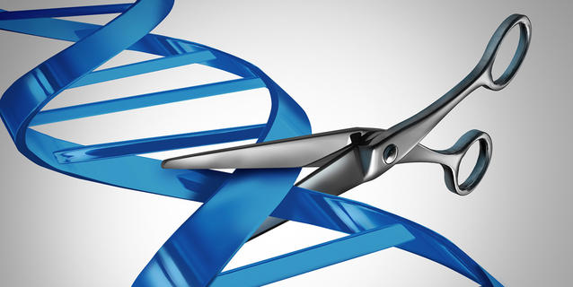Des ciseaux génétiques pour le cerveau (CRISPR-Cas9) Des ciseaux génétiques pour le cerveau (CRISPR-Cas9)