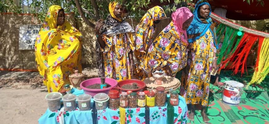 Tchad : Au Hadjer Lamis, une semaine d’activités dédiée aux femmes s’achève avec la SENAFET 2026 Tchad : Au Hadjer Lamis, une semaine d’activités dédiée aux femmes s’achève avec la SENAFET 2026