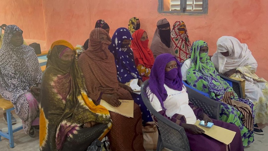 Tchad : atelier des forums de dialogue et sessions de sensibilisation pour le Kanem et le Bahr El-Gazel Tchad : atelier des forums de dialogue et sessions de sensibilisation pour le Kanem et le Bahr El-Gazel