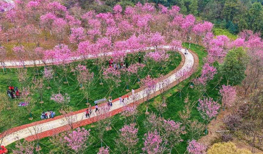 Tourists visit a scenic area in Fuzhou, east China's Jiangxi province, March 8, 2026. (Photo/Guo Hao)