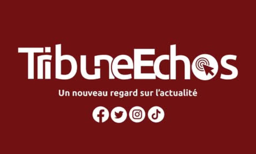 Tchad : La direction de Tribune Échos inculpée suite à une plainte de l’hôpital de la Renaissance Tchad : La direction de Tribune Échos inculpée suite à une plainte de l’hôpital de la Renaissance