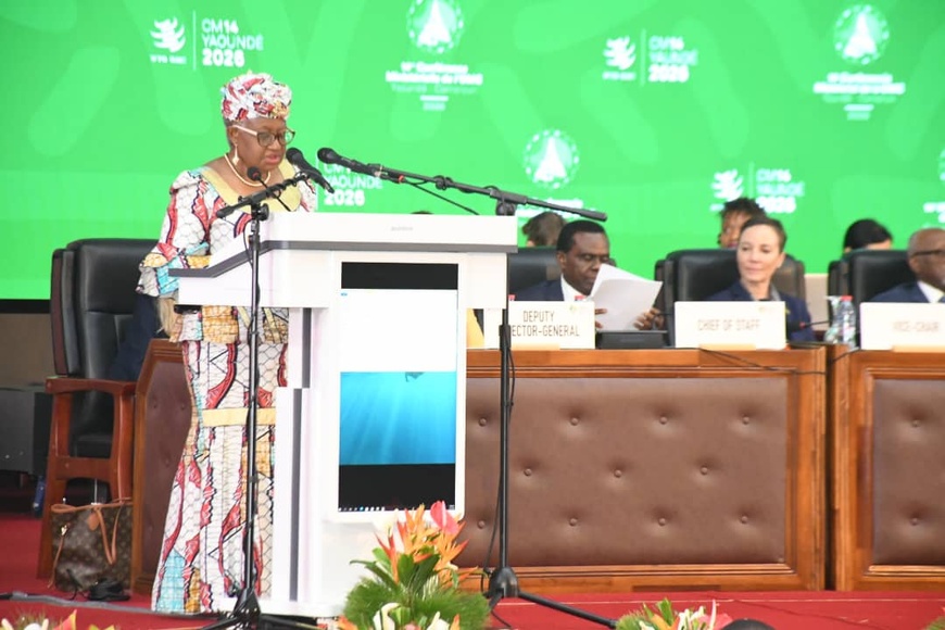 Mme le directeur général de l’OMC, le Dr Ngozi Okonjo Iweala.