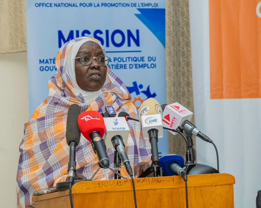 Tchad : l'ONAPE lance la formation de 50 jeunes aux métiers du numérique