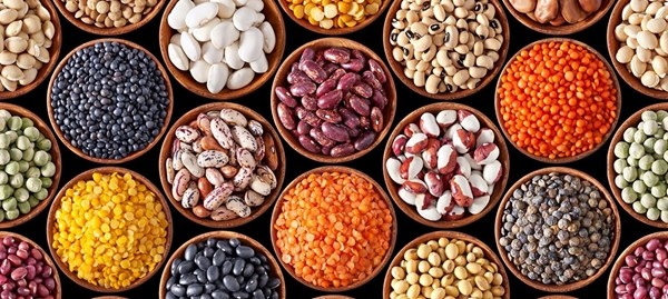 La BAD alloue un don d’un million de dollars EU à une campagne de nutrition dans l’État de Borno, au Nigeria La BAD alloue un don d’un million de dollars EU à une campagne de nutrition dans l’État de Borno, au Nigeria