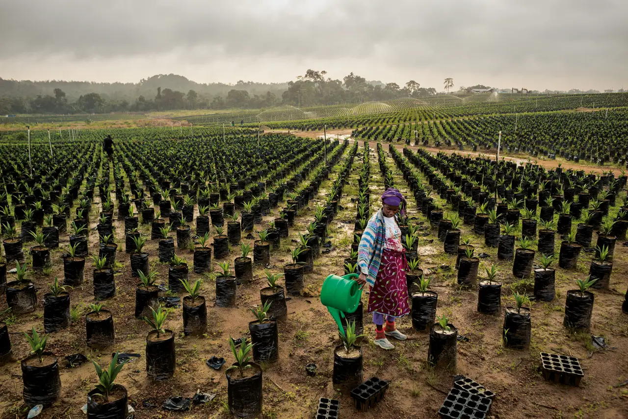 COP22 : Bientôt un centre de prévention de la dégradation des sols en Afrique