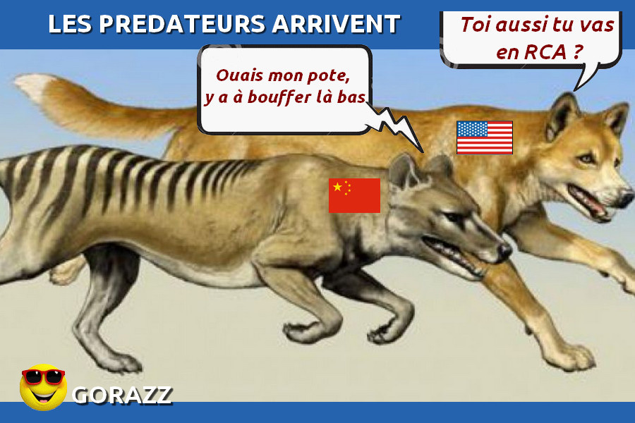 Centrafrique, le joyau toujours tant convoité Centrafrique, le joyau toujours tant convoité