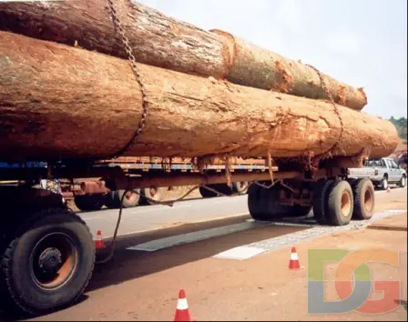 CAMEROUN: Un camion grumier de la société forestiére FIPCAM en infraction, bloqué au pesage routier.