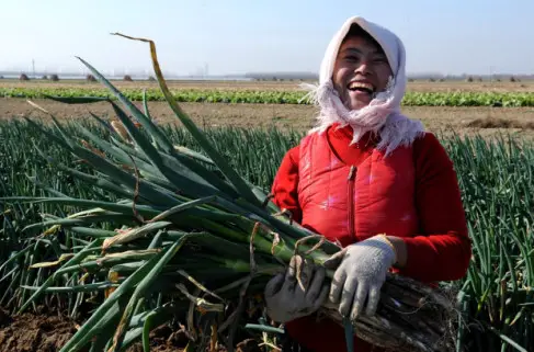 China’s anti-graft efforts provide boost to  poverty relief work
