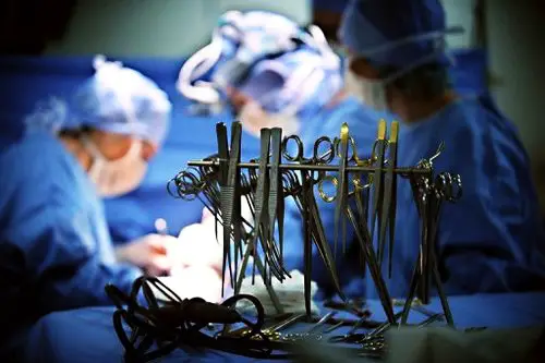 Shortage of doctors a challenge for organ transplants in China: expert